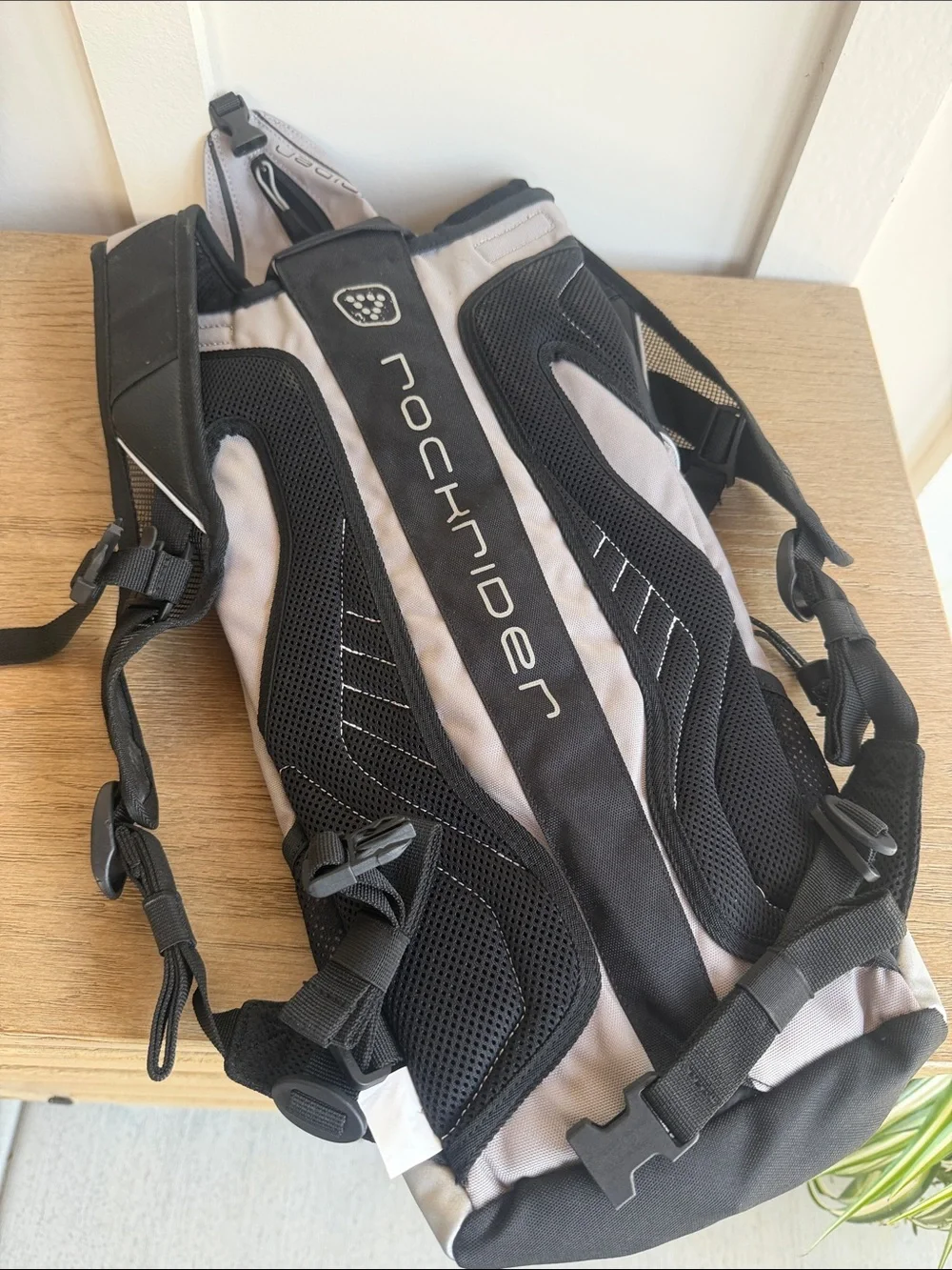 Hydration Backpack - Black & Gray Rockrider